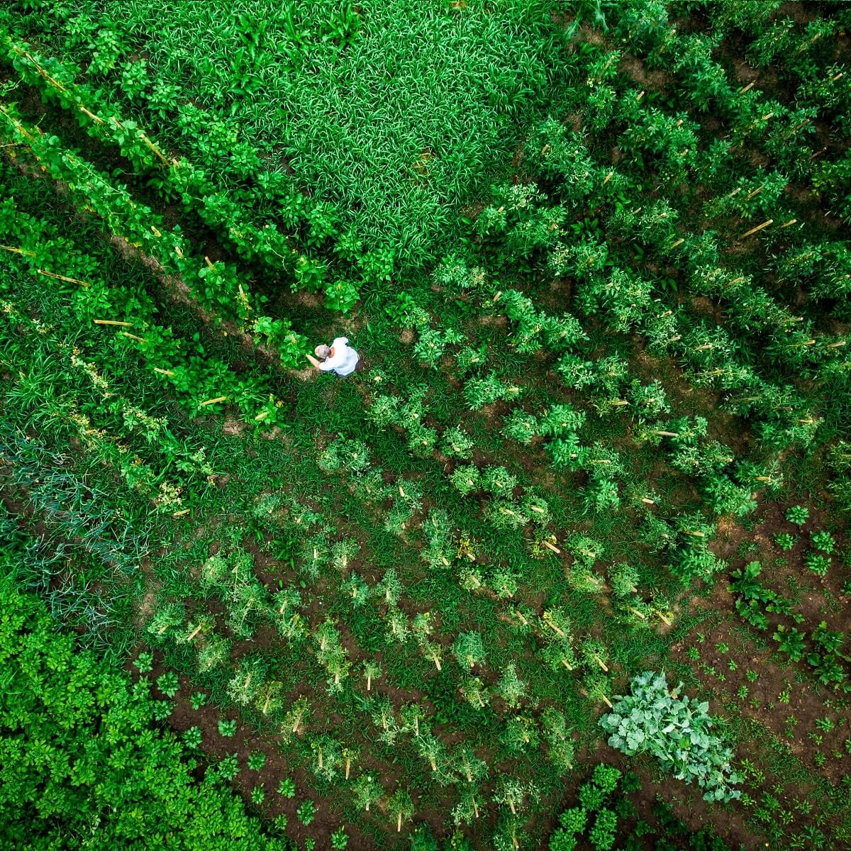 Villas for Sale in Hayyan, Sharjah